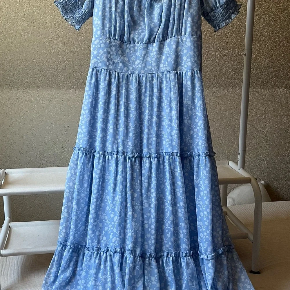 Altard State Blue Floral Maxi Dress - Picture 1 of 4